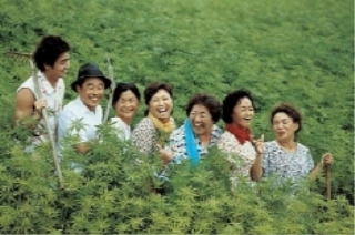 영화[마파도], 돈에 관한 어떤 성찰
